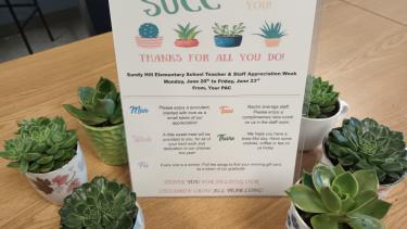 Week of Thanks - Succulents