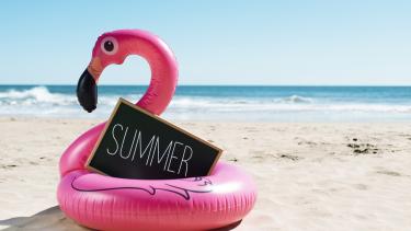 Pink Flamingo on the Beach