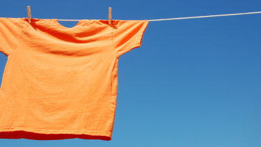 Orange Shirt