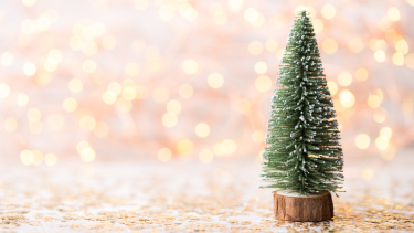 Winter Tree and Twinkle Lights