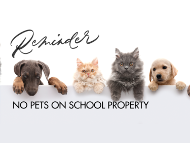 dogs and cats with reminder no pets text