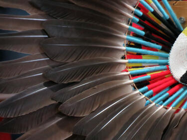 Indigenous Bustle
