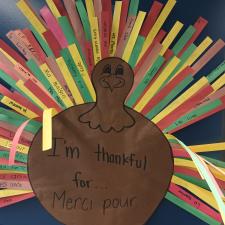 Thankful Turkey