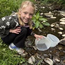 Salmon Release at Stoney Creek