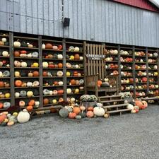 Greendale Acres Field Trip