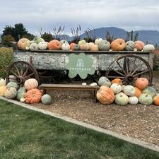 Greendale Acres Field Trip