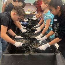 Students panning for gold