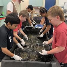 Students panning for gold